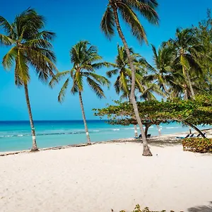 Coconut Court 3* Christchurch